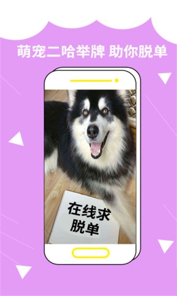 装啥app下载安装