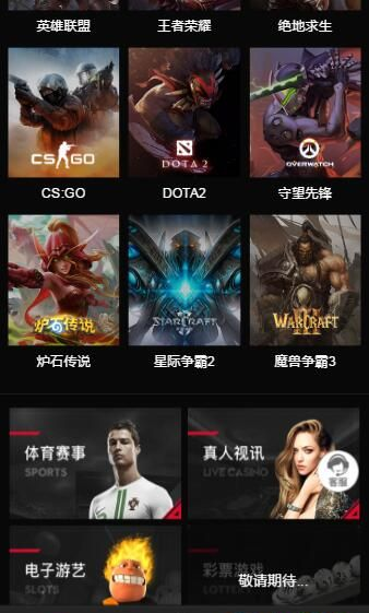 亿电竞平台app下载 v1.0 官网版图1