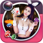 文豪迷犬怪奇谭 V1.0.0