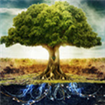 路径生长动力学动画工具 V1.0 免费版 