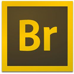 adobe bridge cc 2019