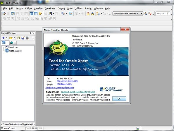 toad for oracle v11 中文版图2