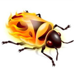 FireBug下载