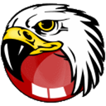 BlackHawk Web Browser下载