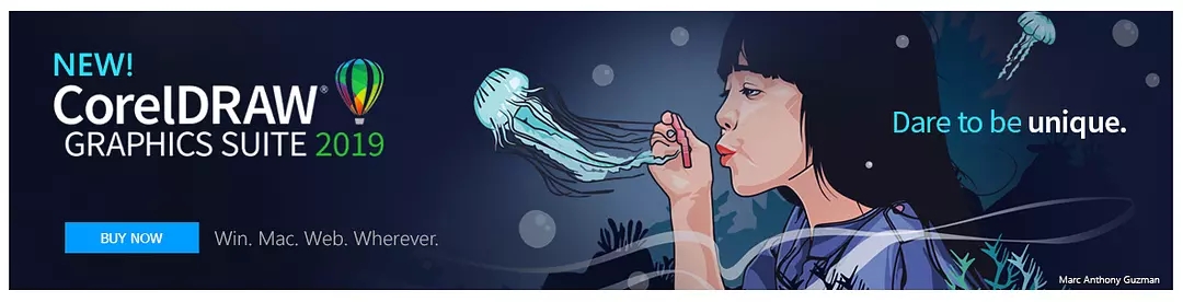 coreldraw2019破解版下载(cdr2019含序列号) 中文版图2