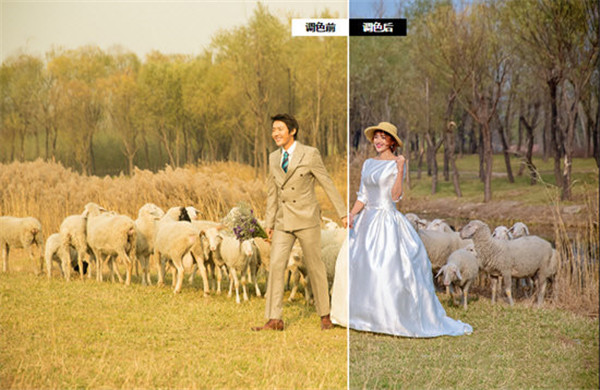 开贝粗修 v2.2.0.37903 最新官方版图3