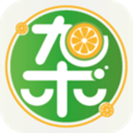 杂鲜下载 v1.0 安卓版 