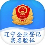 辽宁企业登记实名验证app