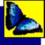 MacKichan Scientific Workplace(论文排版软件) v5.5.2960 免费版 