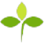 三叶草考试模拟系统官方下载 v2019.4 个人版 