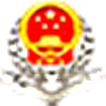 青岛市电子税务局客户端