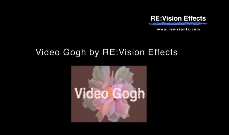 RE VisionFX VideoGogh下载