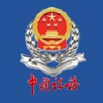 重庆电子税务局下载