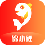 锦小鲤app