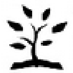 小筑笔记免付费版 v1.00 PC破解版 