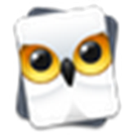 SnowyOwl电脑版