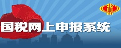 国税网上申报系统大全