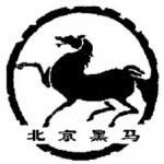黑马校对破解版