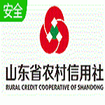 山东省农村信用社网上银行安全控件下载