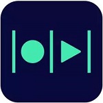 vReveal高级版