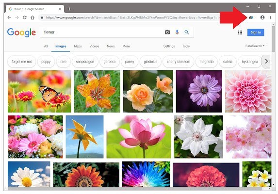 Chrome开源图片下载插件下载