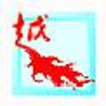 风越excel网页填表工具 v5.16 免费版 