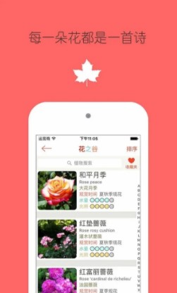 花之谷v1.0.7手机安卓版图1