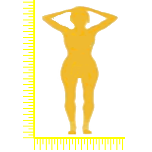 测身姿v1.0最新版 