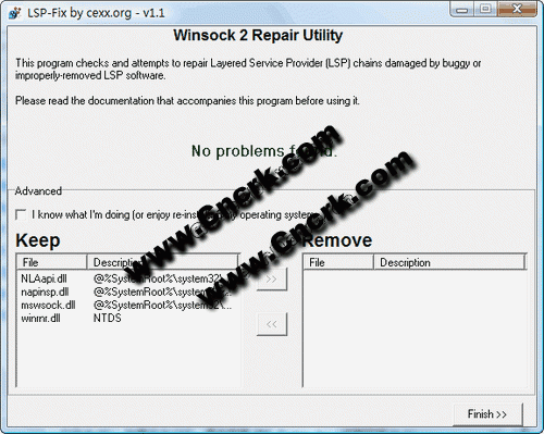 LSP-FIX V1.1 英文绿色免费版图1