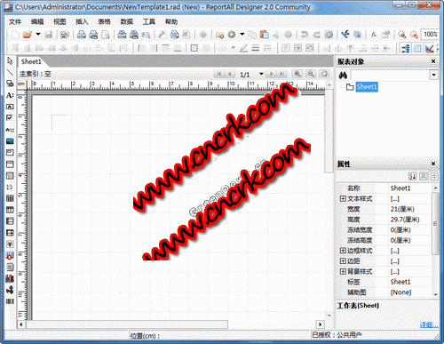 ReportAll V2.0.1.871 简体中文官方安装版图1