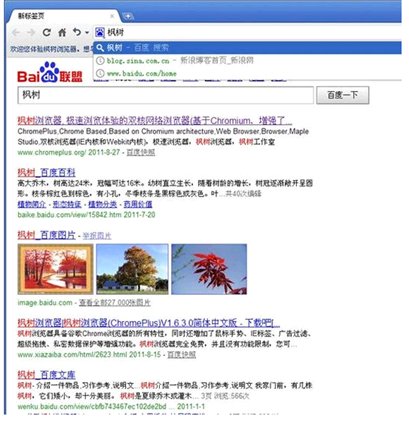 枫树浏览器 V2.0.9.11 多国语言绿色免费版图1