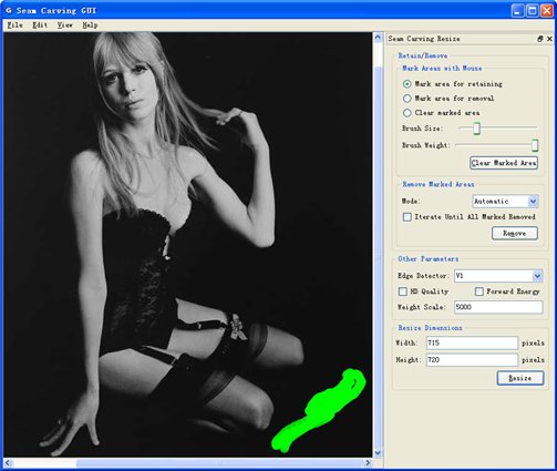 去除照片水印(Seam Carving GUI) 4.5.2绿色版图1