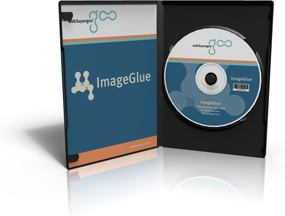 ASP图片处理扩展组件(WebSupergoo ImageGlue DotNET) v7.2.0.2 英文安装版图1