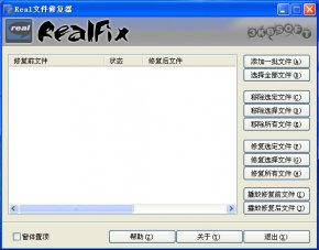Real文件修复器 4.2.28 免费版图1