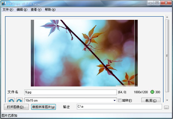 JPEGCrops(图片裁剪软件) V1.0 绿色汉化版图1